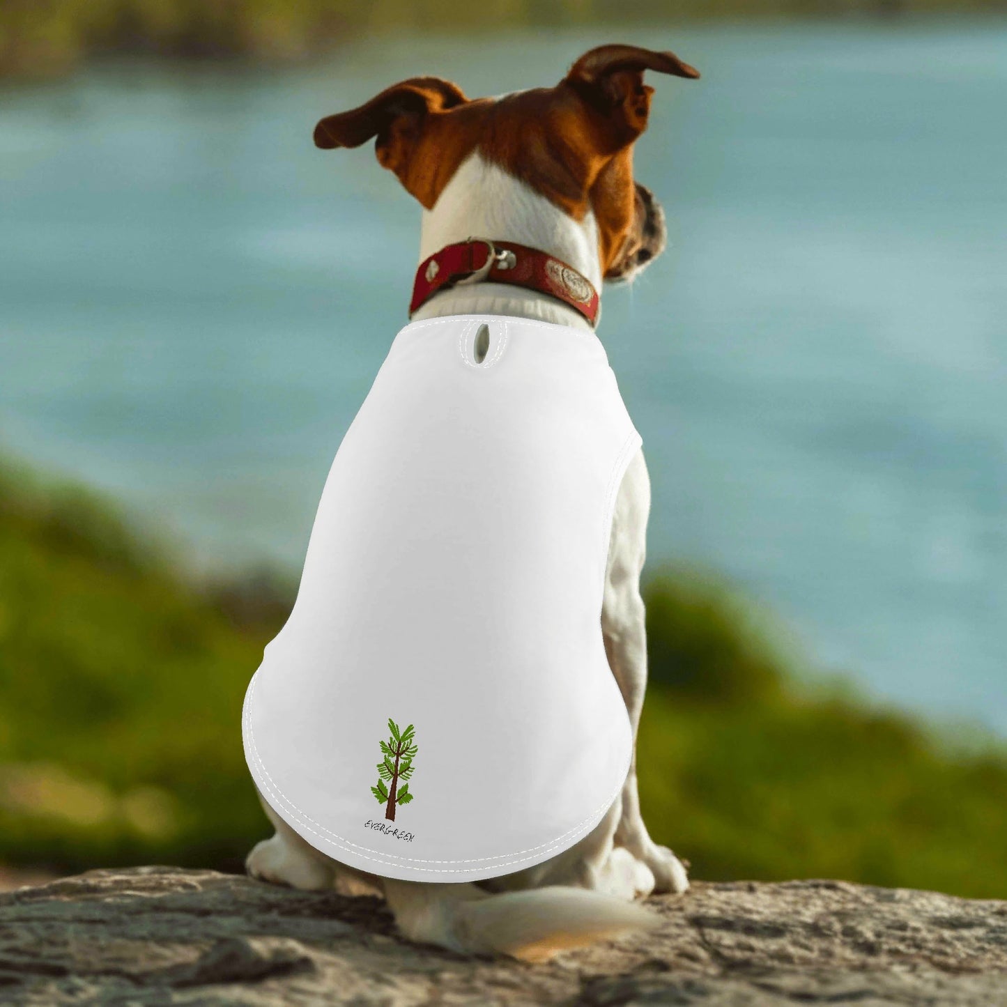 Evergreen Original Pets - Pet Shirt Clothing for Small Medium Dogs Cats