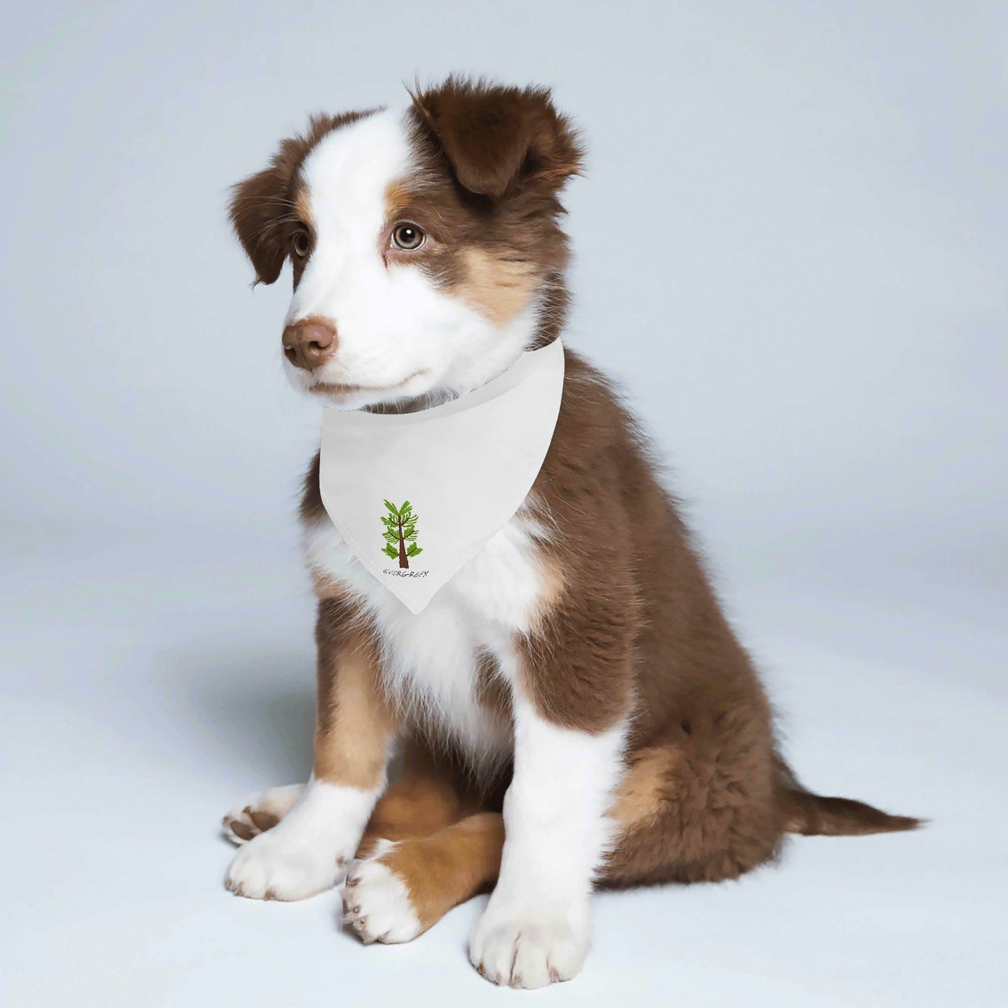 Evergreen Original Pets - Animal Scarf Pet Adjustable Bandanas for Dogs Cats