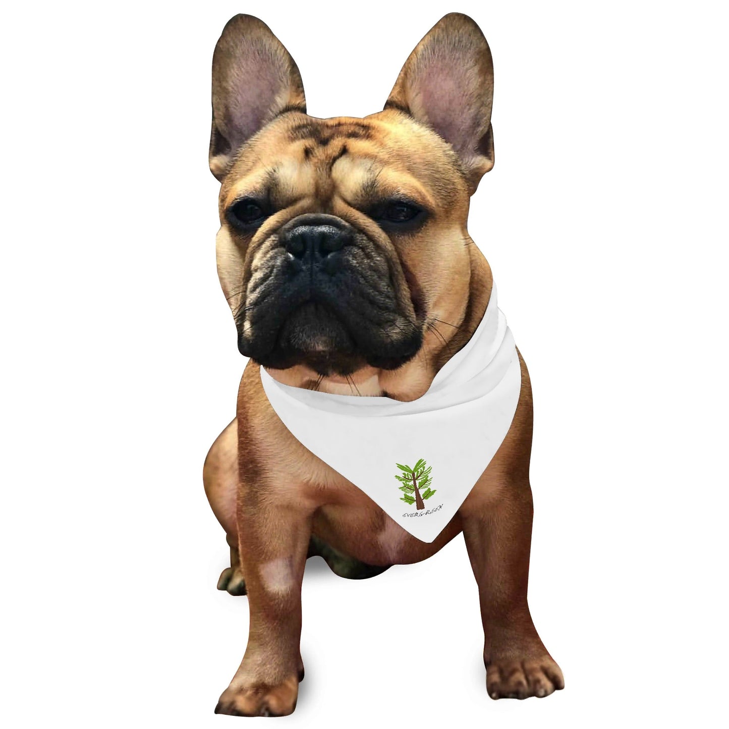 Evergreen Original Pets - Animal Scarf Pet Adjustable Bandanas for Dogs Cats