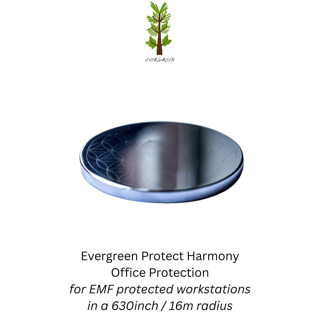 Evergreen Protect Harmony - Relax Workstation