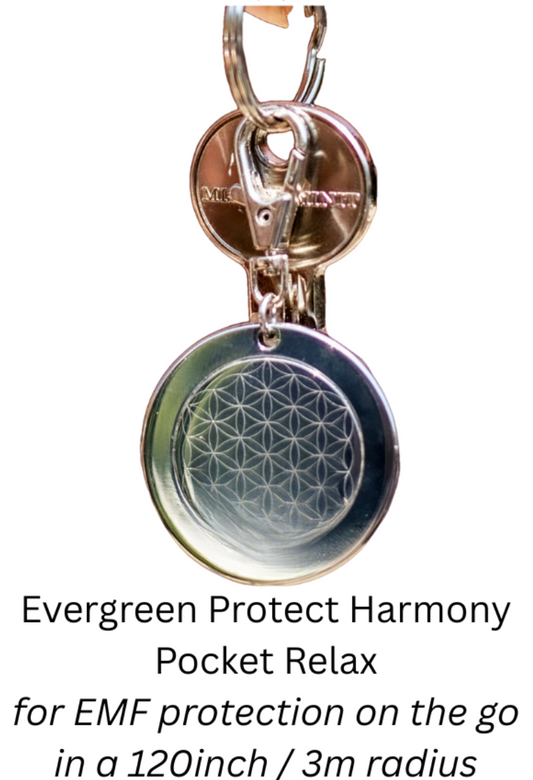 Evergreen Protect Harmony - Pocket Relax